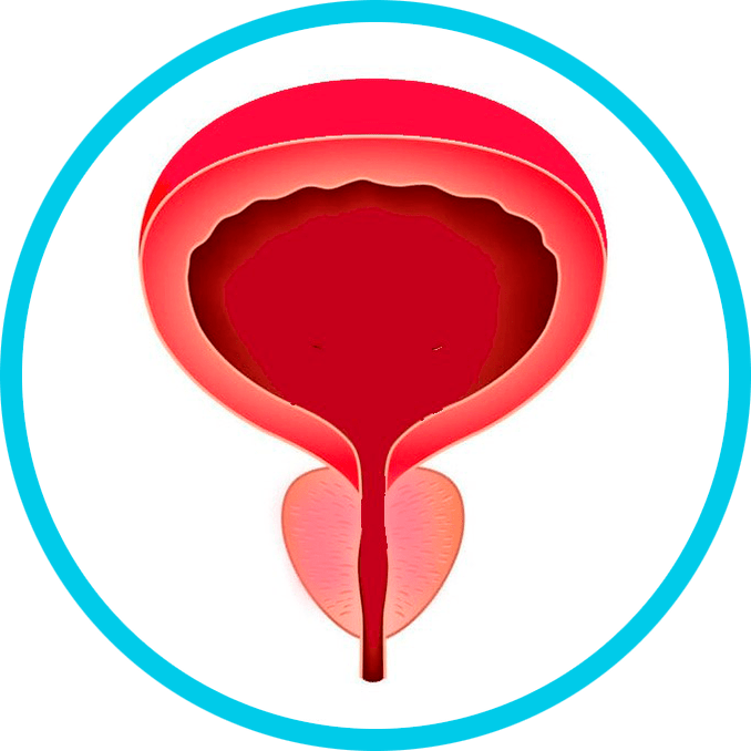 Prevencia prostatitídy